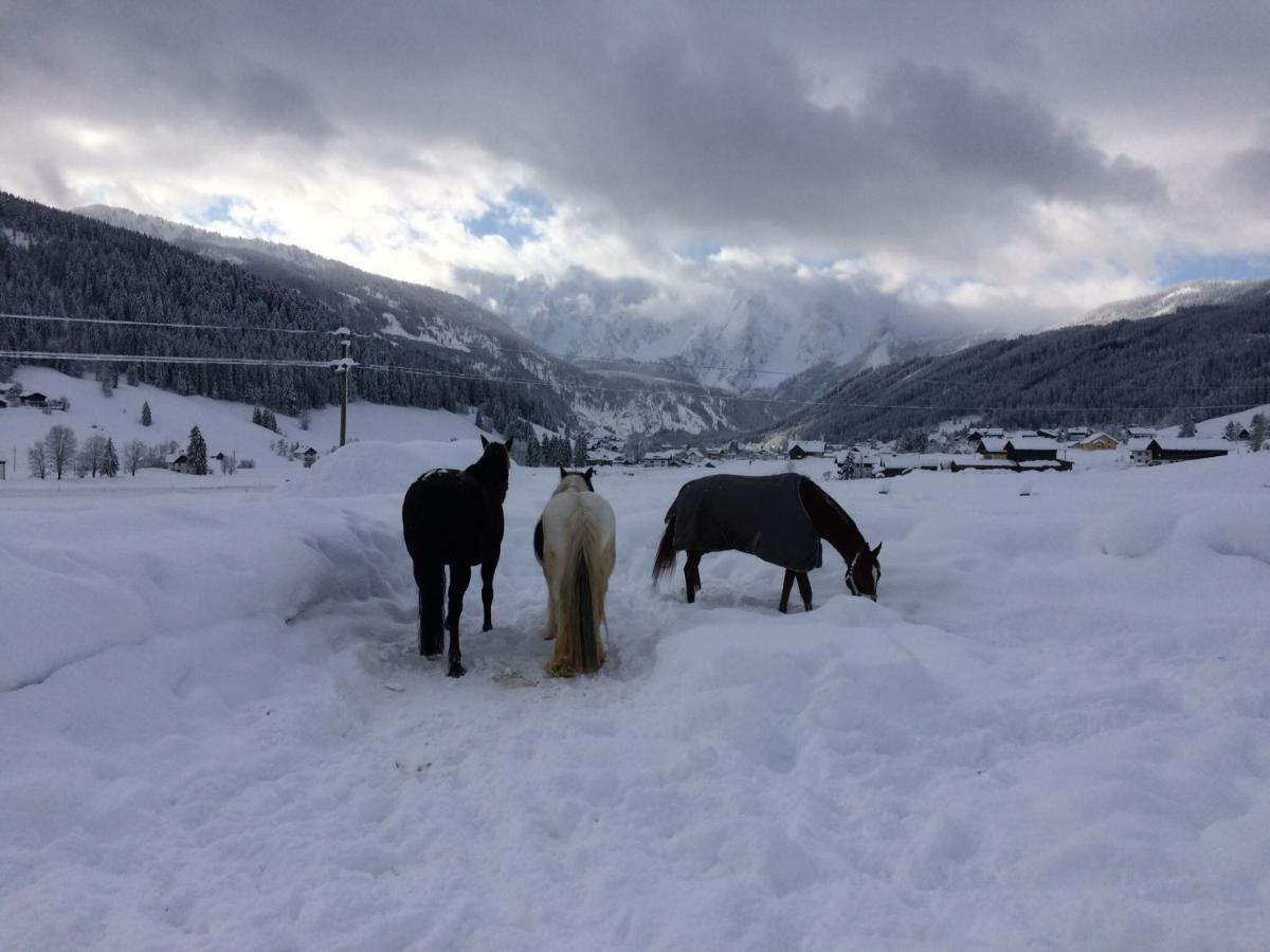 Schmiedsipplbad Apartamento Gosau